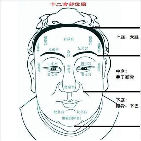 50歲面相|【50至60歲面相】50至60歲面相大解密！從晚年流年圖看你的老。